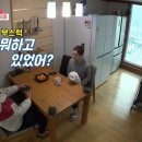 젤리댕댕이 이미지