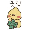 레드스토리 의정부 회룡점