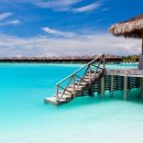 파라다이스 이미지