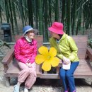 (주)참좋은넷 이미지
