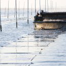 신안산업 이미지