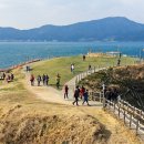 바람의언덕 이미지