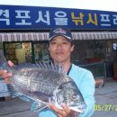 숲속에 바다 이미지