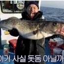젊은어부 이미지