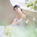 아벨헤어 이미지