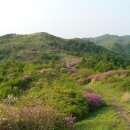 명문행정사 사무소 이미지