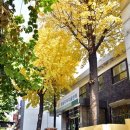 수진1동 행정복지센터 이미지