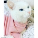 웅기획 이미지