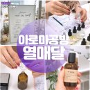 인천 향수 공방 취미에서 창업까지! 아로마공방, 열매달 고급반 클래스 후기