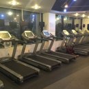 다이어트존 이미지