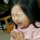 우진양행 네이버블로그