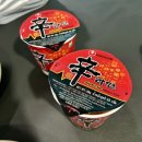 동막골캠프 | 코타키나발루 동막골 반딧불투어 후기, 내돈내산 마이리얼트립 반딧불투어