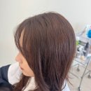 광주하남동물약국 | [광주하남미용실] 오르헤어, 할인꿀팁 가득! 뿌리염색 후기