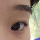 양은메탈 | [리뷰] 내돈내산 테키라 메탈트임카라 블랙 후기