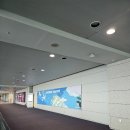 종로계림닭도리탕원조국회의 | 6월 4주 차