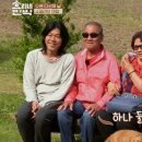 사수민박 이미지