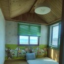 님 바래기 이미지