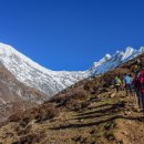 네팔, 고사인쿤드와 랑탕을 트래킹하면서 - 8일차/photo by Bluegull님 이미지