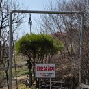 3월 충주 1박2일 주말여행 코스 추천 ④탄 - 수안보 곤충박물관