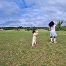 수풀누리 잔디마당 이미지