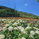 강진보은산 우두봉 산태봉 @ V 렌드 수구길 축제 이미지