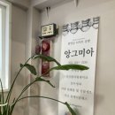 앙그미아 이미지