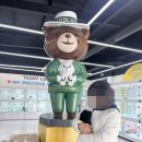 인천강아지분양 테디럽 이미지