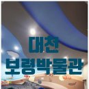 갯지렁이 전시관 | 대천 아이랑 가볼 만한 곳 보령박물관 무료 관람 후기
