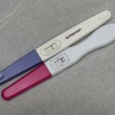 시도 | 네 번째 배란유도제 페마라정 시도 성공후기 (짧았던 임신 기록)