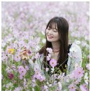 가조온천 이미지