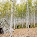 인제 관광안내소 이미지