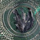 덕진호 좌대낚시터 이미지