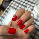셀프학원 | 셀프네일러의 네일학원 1주차 후기: 네일국가고시 도전하기