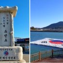 완도 맹선리 상록수림 | 소안도_항일투사의 섬