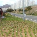 거제시농업개발원 이미지