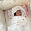해피케어 | 출산 일기 5. 은평구 해피케어 후기(홍순연 관리사님)