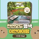 이안농장 | 천연호두염색 이안아이팜 체험 치유농장 후기