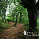 소나무쉼터 민박 이미지