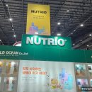 덴탈메인 이미지