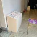 4351 | 영시축제 대전문화재단 허니콤보드 등신대 및 전시월 설치 후기