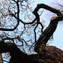 와룡주차장 이미지