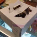 장안동디저트카페) [오르다빛] : 수제 홀케이크1호 후기 (블루베리생크림) 가격 및 종류