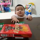 댕이 데이 이미지