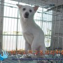 서울영중초등학교 이미지