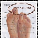 발건강 이미지