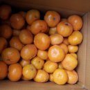 솜반천로 이미지