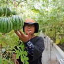 박진규농장 이미지