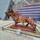 청도소싸움미디어체험관 | 대구 근교 아이와 가볼만한곳 청도 소싸움 미디어체험관 체험 후기