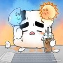 새미컷 네이버블로그