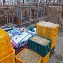 대산축산농장 이미지